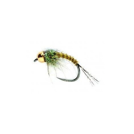 Biot Nymph