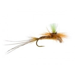 Glo Drake Spinner Olive