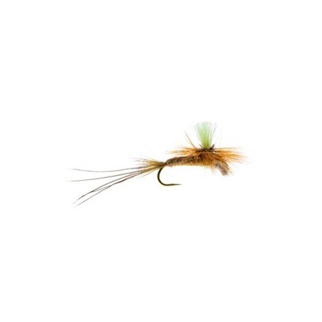 Glo Drake Spinner Olive