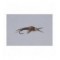 Brown Epoxyback Stone  TNG WTD