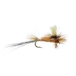 Glo Drake Spinner White