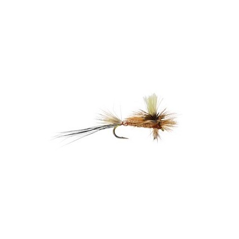 Glo Drake Spinner White