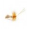 Goddard Caddis