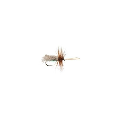 Goddards Caddis Green