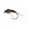 PTN Grub