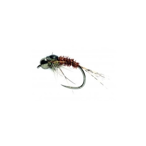 PTN Grub
