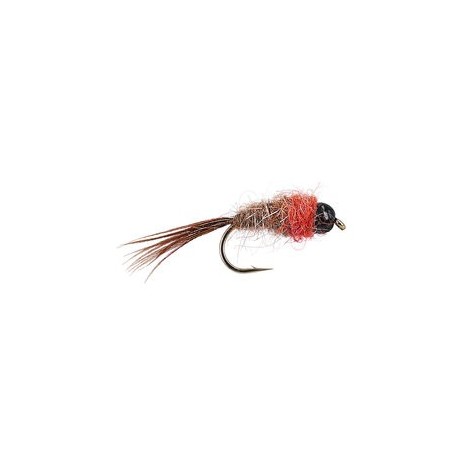 Red Rose TG Nymph