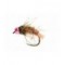SR Grayling Special