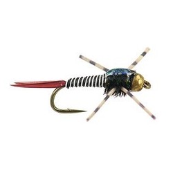 TG BH RL Epoxy Bob  Zebra 12