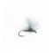 Bears BWO Parachute