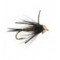 TG Black Prince