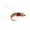 TG Brown Sedge Nymph