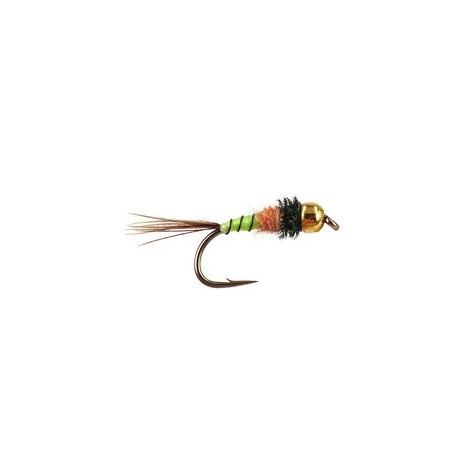 TG ConeHeadatreuse Nymph