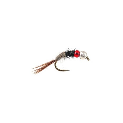 TG Competition Red & Beige