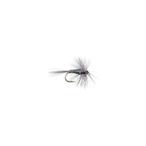 Gray Hackle