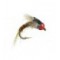 TG Downeys Master  Baetis