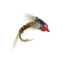 TG Downeys Master  Baetis