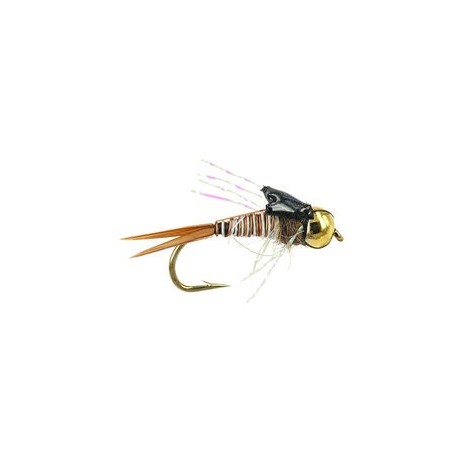 TG Epoxy Back Montana Flash