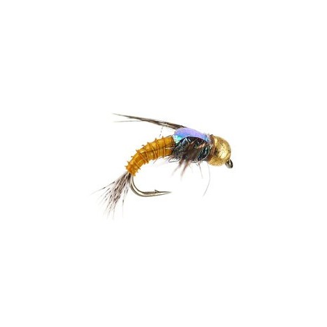 TG Golden Quill