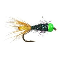 TG Green Spectra