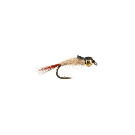 TG Grhe Nymph