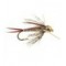 TG Montana Prince  Tan 10