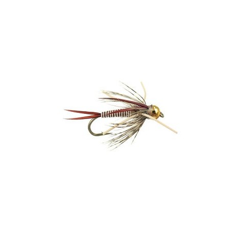 TG Montana Prince  Tan 10