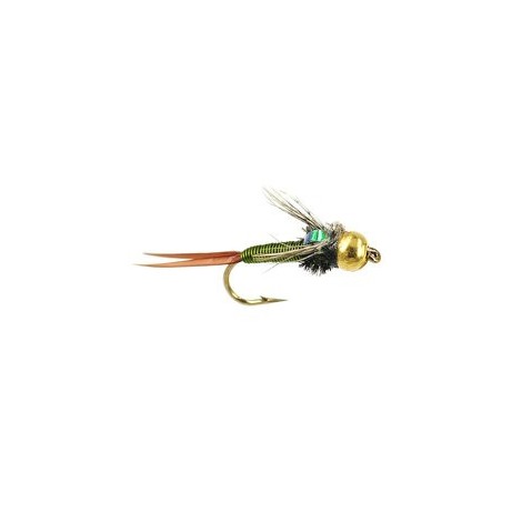TG Olive Coper