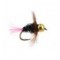 TG Pink Tag Nymph