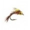 TG PMD Angel Case Emerger 14