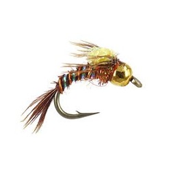 TG PMD Angel Case Emerger 14