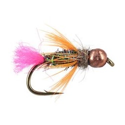 TG Trout Scare