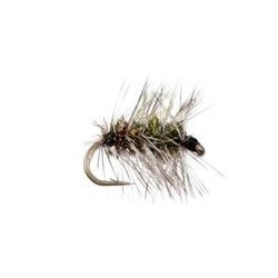 Griffiths Gnat