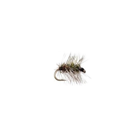 Griffiths Gnat