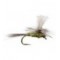 Gulpher Special Olive Parachute