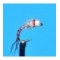 Tungsten Bead Head Rainbow Warrior