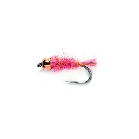 Tup Wool Bug