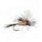 Gulpher Special Tan Parachute