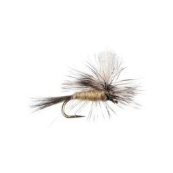 Gulpher Special Tan Parachute