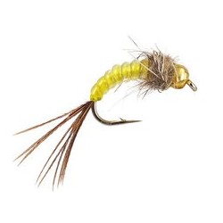 Yellow Body Glass TG Nymph