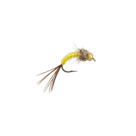Yellow Body Glass TG Nymph