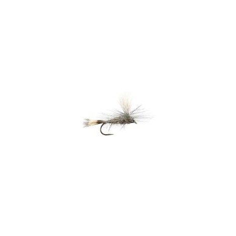 Hares Ear Parachute