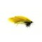 Bead ConeHeadain Creeper Olive