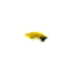 Bead ConeHeadain Creeper Olive