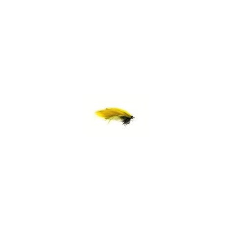 Bead ConeHeadain Creeper Olive
