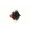Bibio Blob