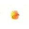 Biscuit Blob
