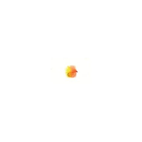 Biscuit Blob