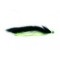 BL Black Bead ConeHeadain Snake