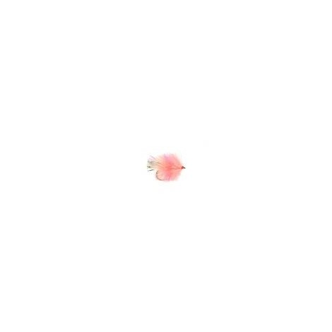BL Blob Coral Spot